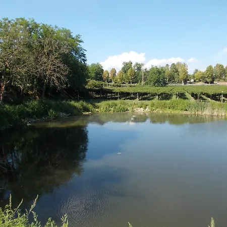Ca' Vecia Farm stay Castelnuovo del Garda
