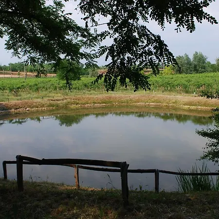 Ca' Vecia