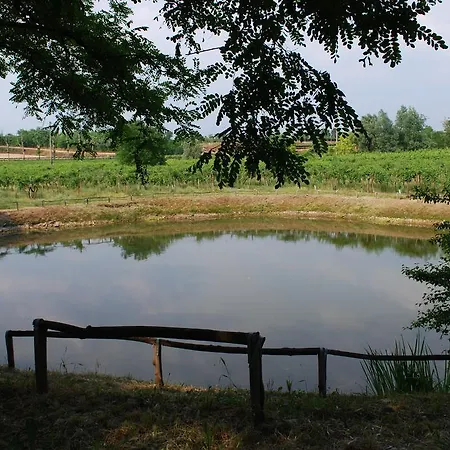 Ca' Vecia